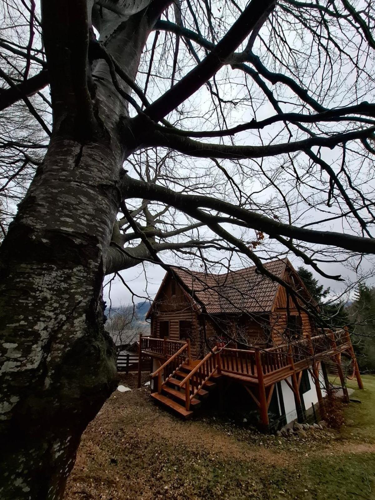 Veresko Villa Lacu Rosu Εξωτερικό φωτογραφία